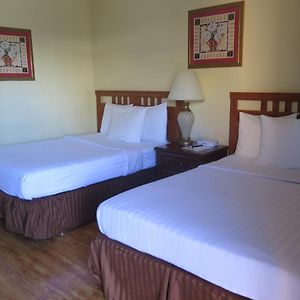 Double Room Two Double Beds